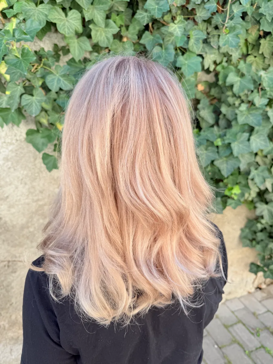 Lucrare salon 116
