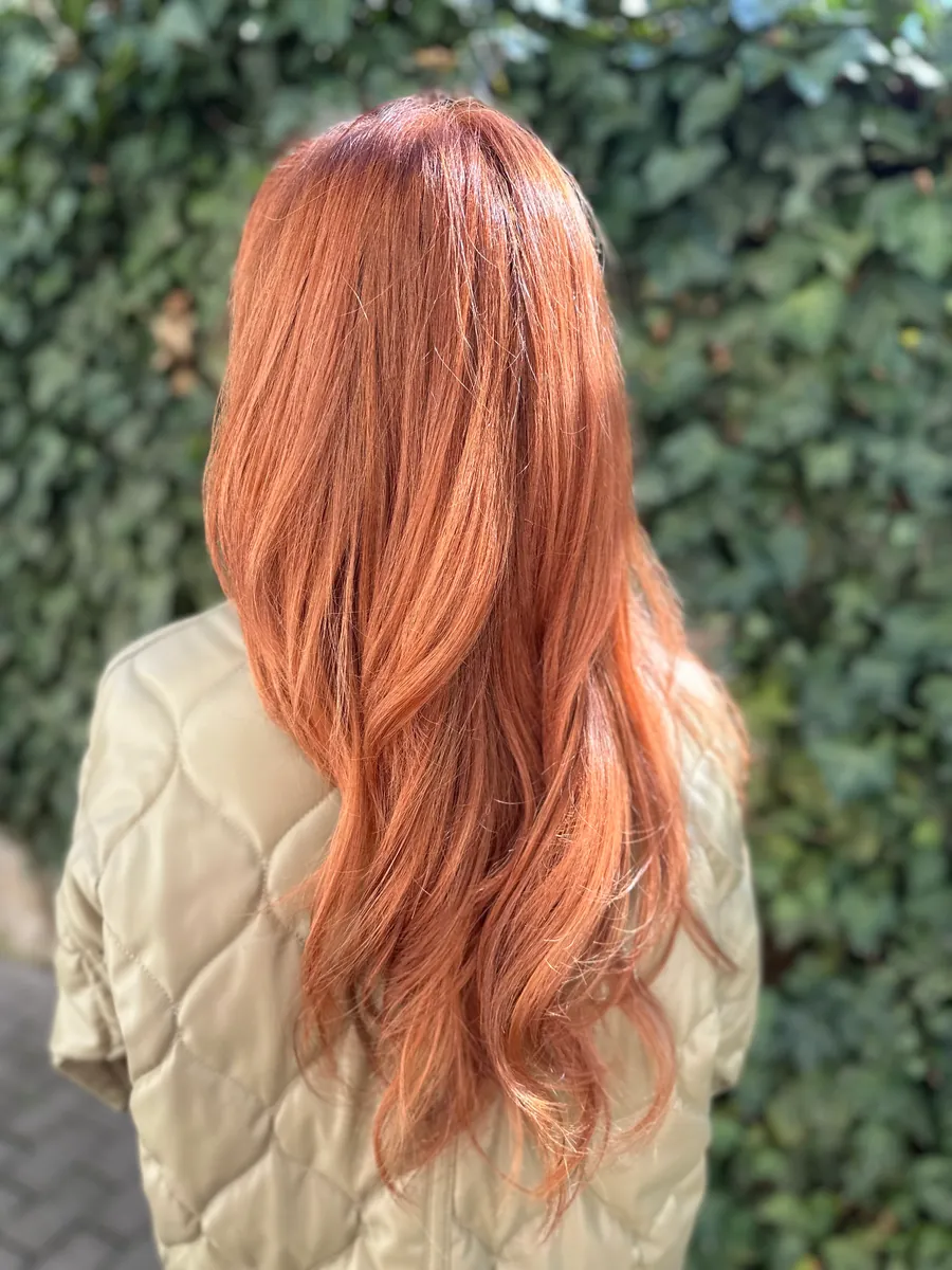 Lucrare salon 16