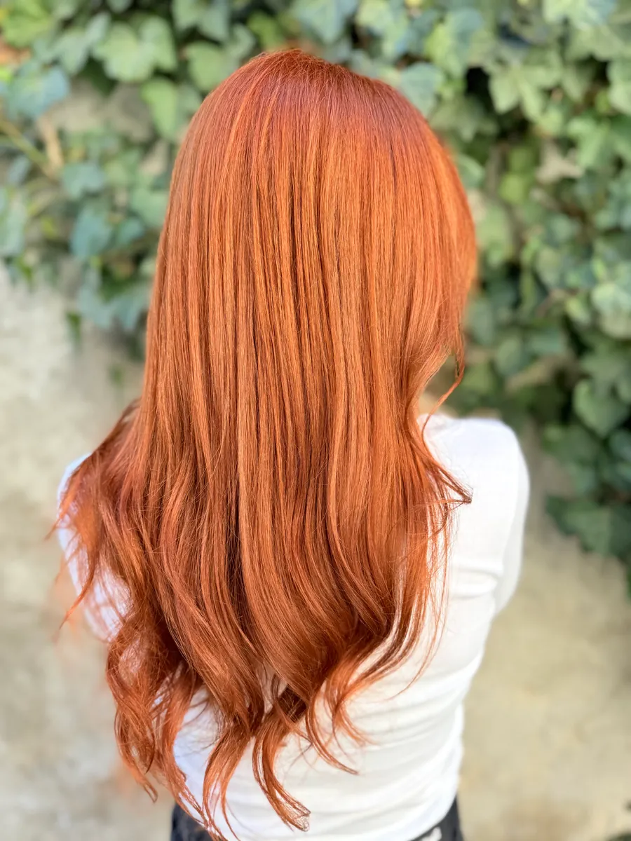 Lucrare salon 61